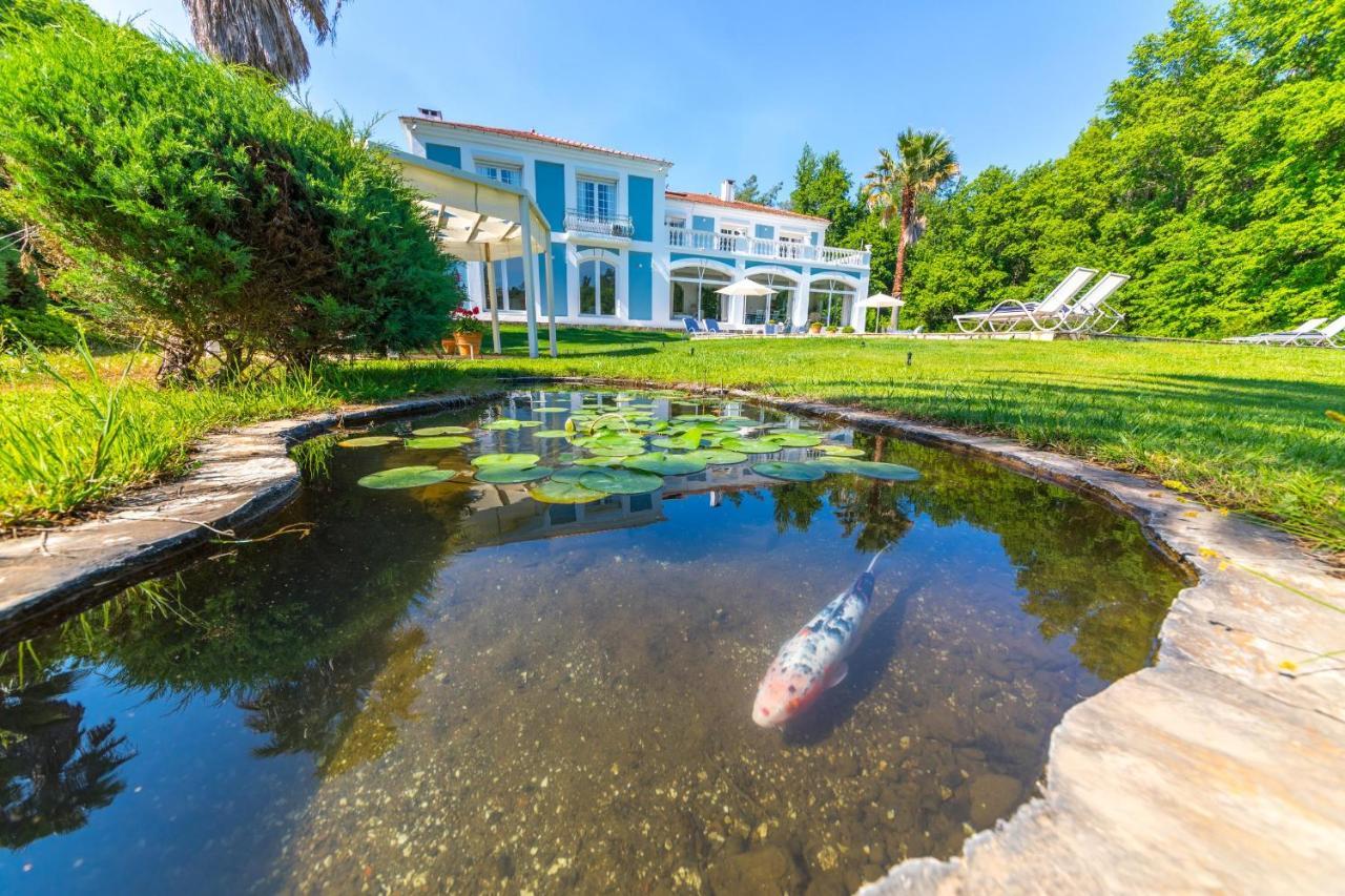 Villa Zarik 马尔马里斯 外观 照片